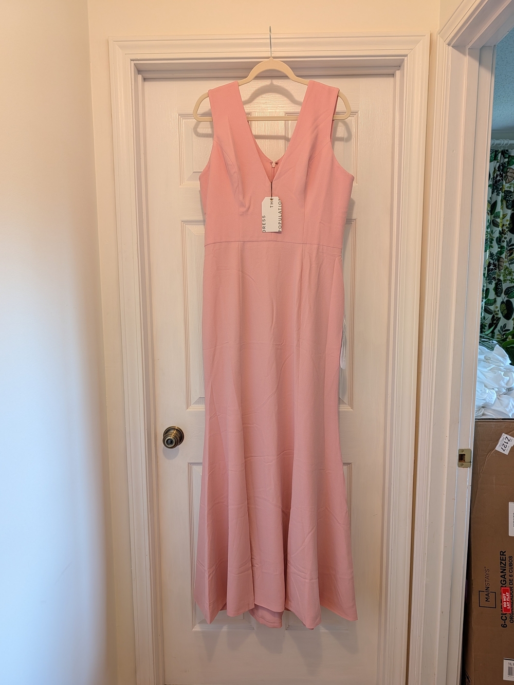 Dress the Population Blush Pink V-Neck Maxi Dress